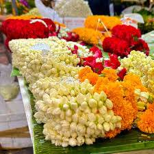 images_original_copy_1