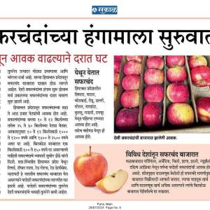 WhatsApp_Image_2025-07-28_at_3.48.07_PM_original